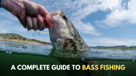 A Complete Guide to bass fishing