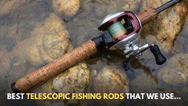 A Complete Guide to bass fishing