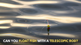 A Complete Guide to bass fishing -