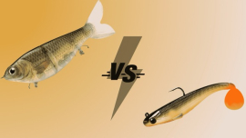 Glide bait vs Swimbait