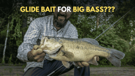 Fishermen holding big bass caught through glide bait