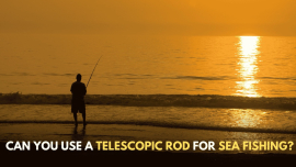 Telescope rod for sea fishing