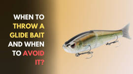 When to Throw a Glide Bait and When to Avoid It